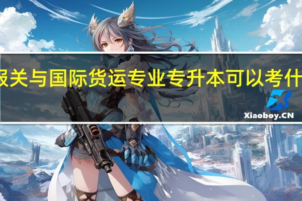 报关与国际货运专业专升本可以考什么专业