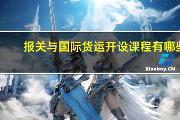 报关与国际货运开设课程有哪些