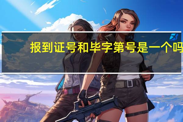 报到证号和毕字第号是一个吗