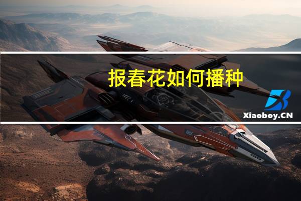 报春花如何播种