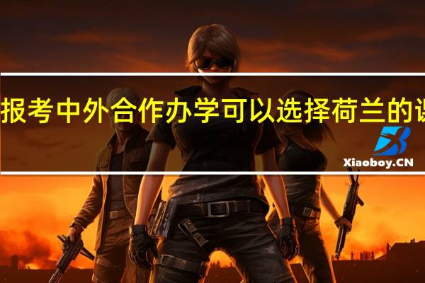 报考中外合作办学可以选择荷兰的课程吗