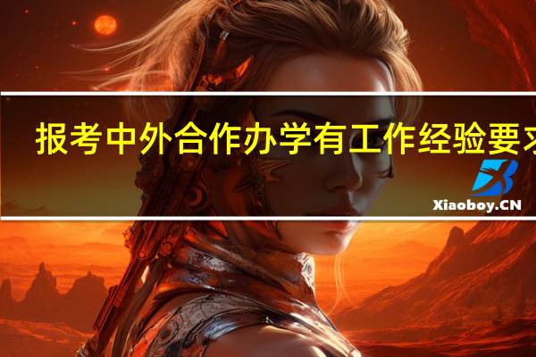 报考中外合作办学有工作经验要求吗