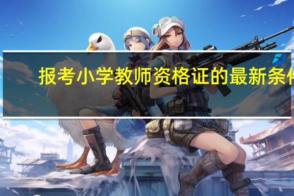 报考小学教师资格证的最新条件