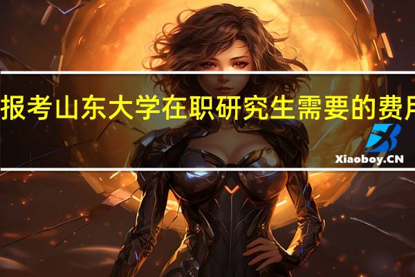 报考山东大学在职研究生需要的费用高吗