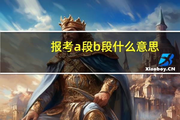 报考a段b段什么意思
