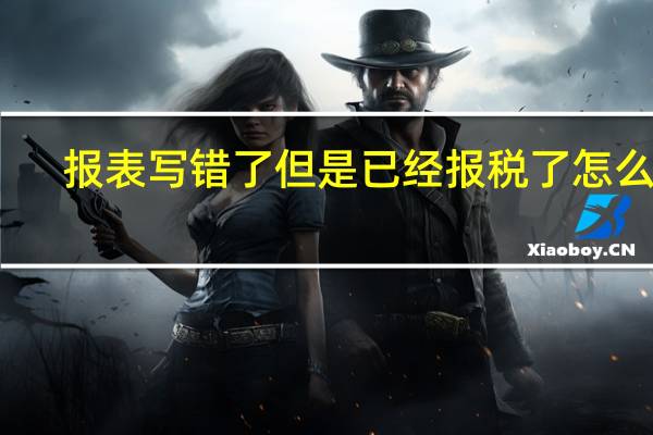 报表写错了但是已经报税了怎么办