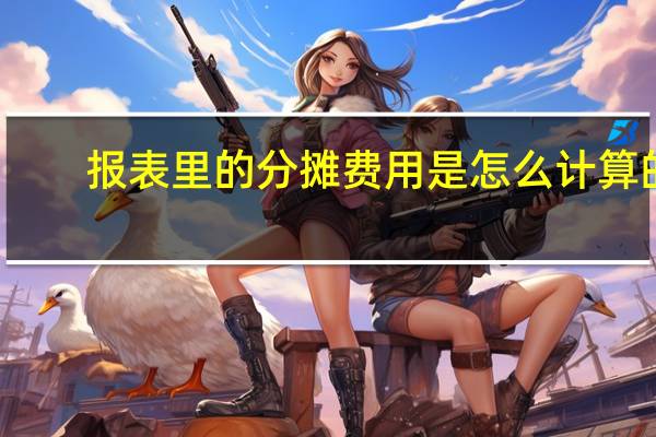 报表里的分摊费用是怎么计算的
