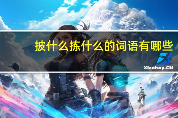 披什么拣什么的词语有哪些?