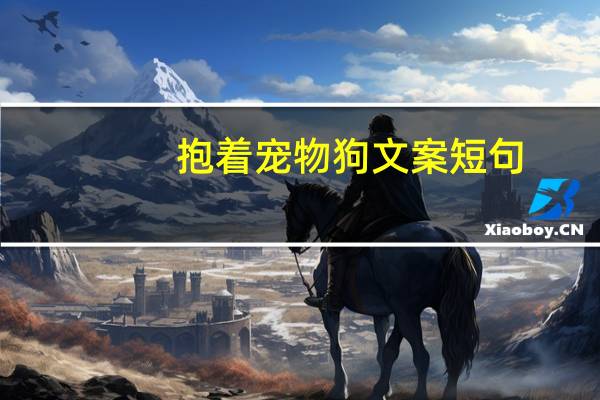 抱着宠物狗文案短句