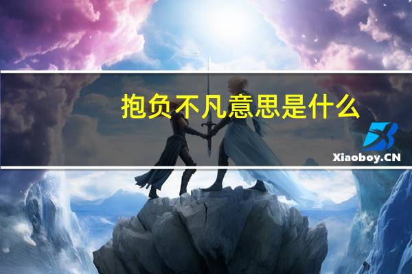 抱负不凡意思是什么