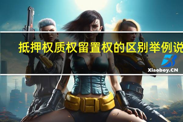 抵押权质权留置权的区别举例说明(抵押权质权留置权顺序)