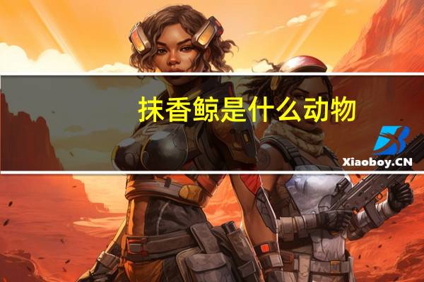 抹香鲸是什么动物？