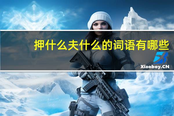 押什么夫什么的词语有哪些?