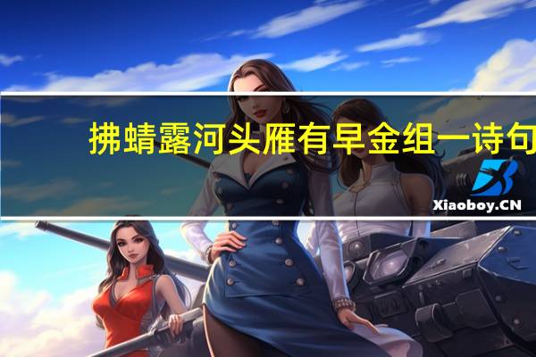 拂蜻露河头雁有早金组一诗句