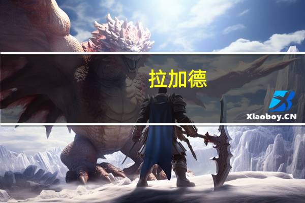 拉加德:欧元区应建立自己的SEC式监管机构