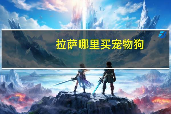 拉萨哪里买宠物狗