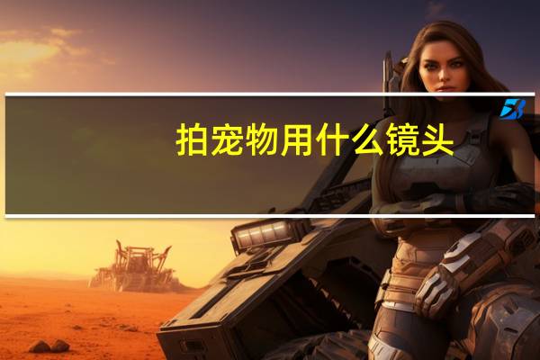 拍宠物用什么镜头