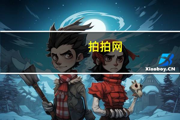 拍拍网（关于拍拍网的介绍）
