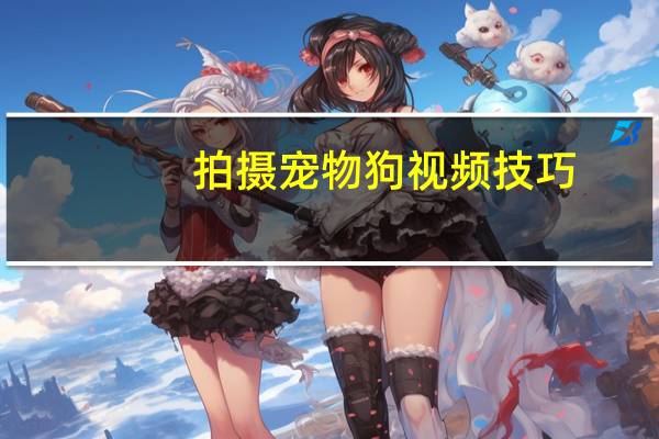 拍摄宠物狗视频技巧
