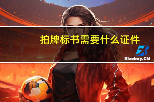 拍牌标书需要什么证件