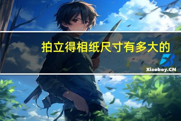 拍立得相纸尺寸有多大的（拍立得相纸尺寸）