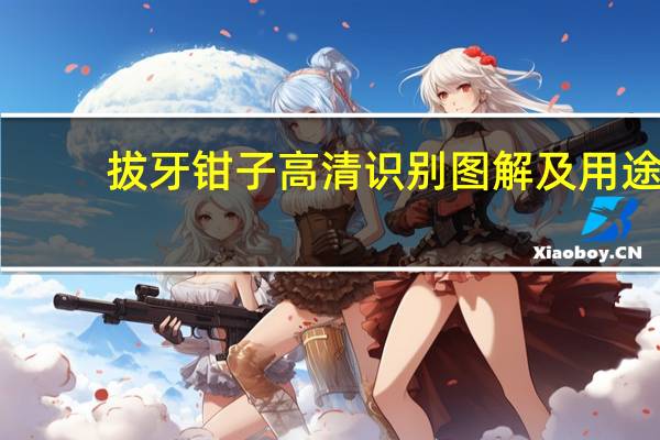 拔牙钳子高清识别图解及用途（拔牙钳）