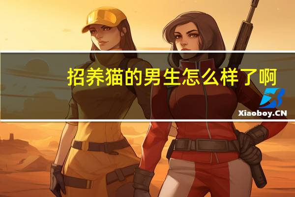 招养猫的男生怎么样了啊