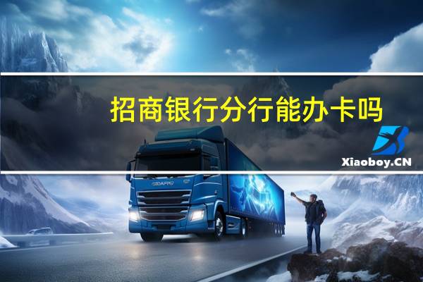 招商银行分行能办卡吗