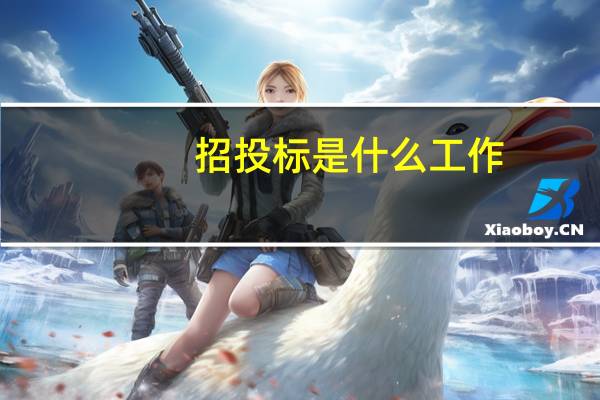 招投标是什么工作