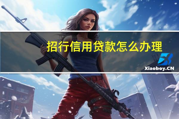 招行信用贷款怎么办理(招行信用贷款怎么开通)
