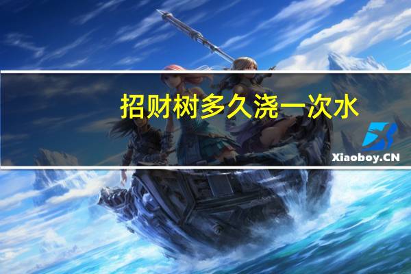 招财树多久浇一次水
