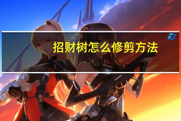 招财树怎么修剪方法