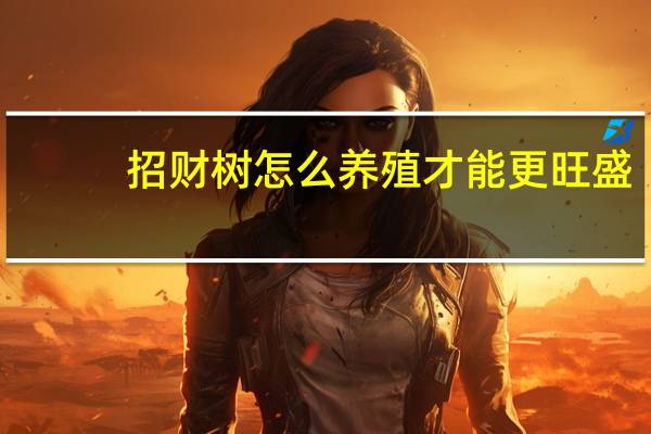招财树怎么养殖才能更旺盛