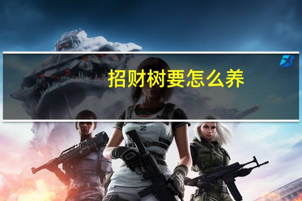 招财树要怎么养