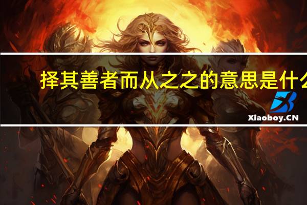 择其善者而从之之的意思是什么