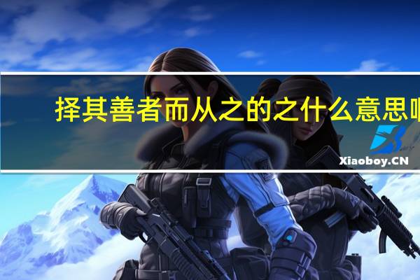 择其善者而从之的之什么意思啊