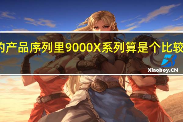 拯救者的产品序列里9000X系列算是个比较特殊的产品线