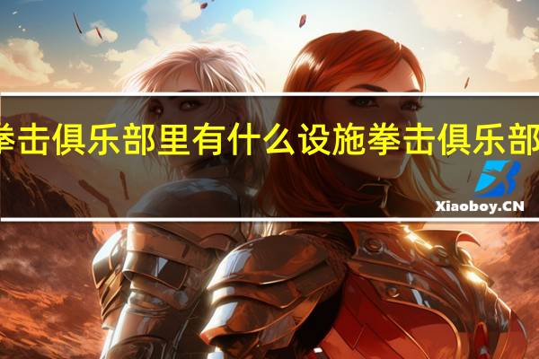 拳击俱乐部里有什么设施 拳击俱乐部修改器