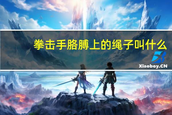 拳击手胳膊上的绳子叫什么