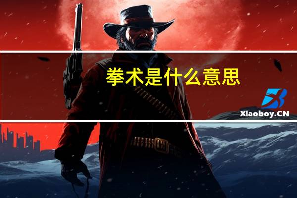 拳术是什么意思（拳术）