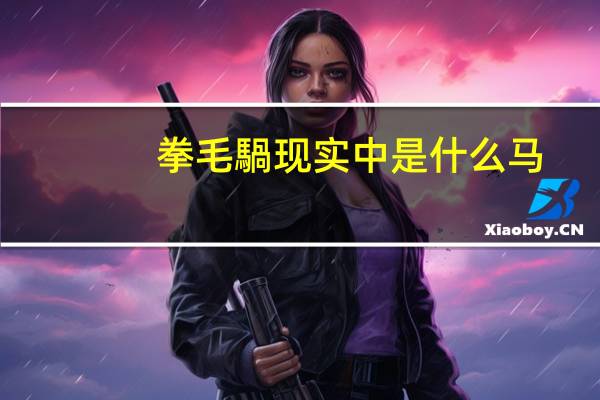 拳毛騧现实中是什么马
