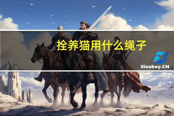拴养猫用什么绳子