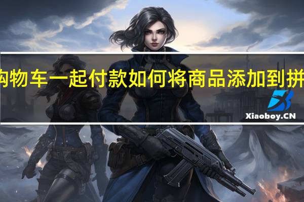 拼多多怎么加入购物车一起付款 如何将商品添加到拼多多购物车并一起结算