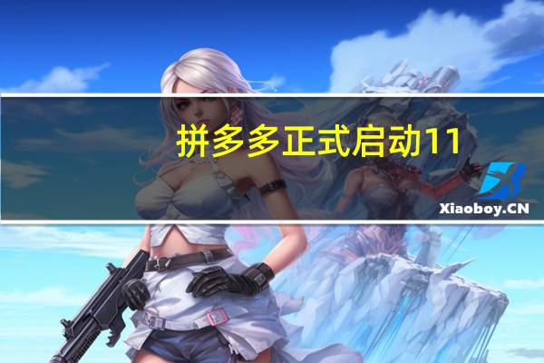 拼多多正式启动11.11大促