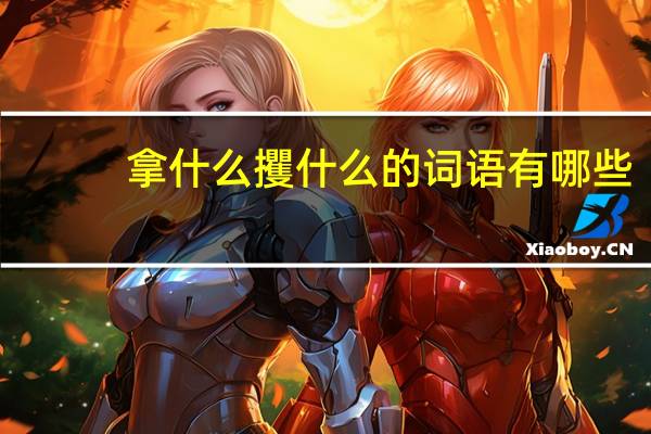 拿什么攫什么的词语有哪些?