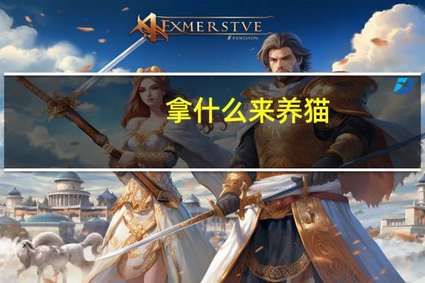 拿什么来养猫