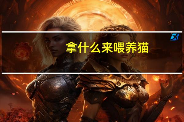 拿什么来喂养猫