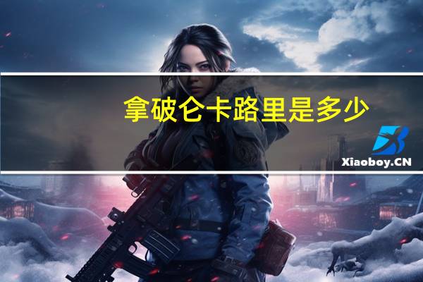 拿破仑卡路里是多少