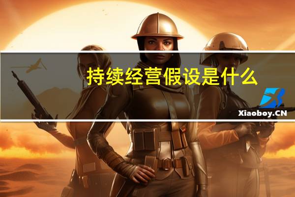 持续经营假设是什么