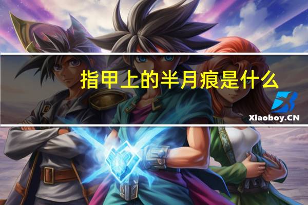 指甲上的半月痕是什么（指甲半月痕代表什么）